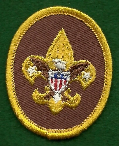 Vintage boy scout - vintage,