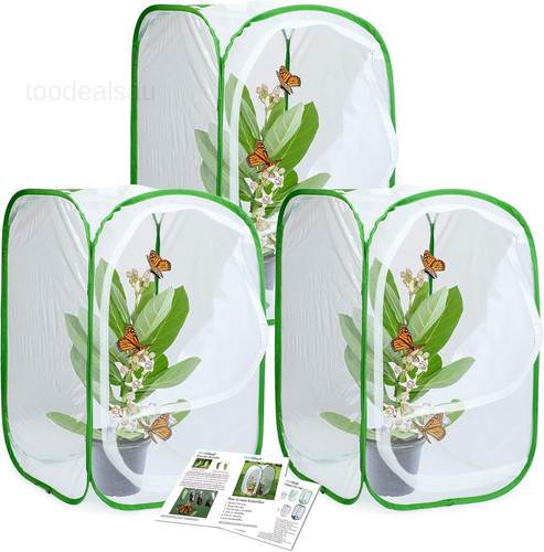 Pack insect and butterfly - 3-pack,