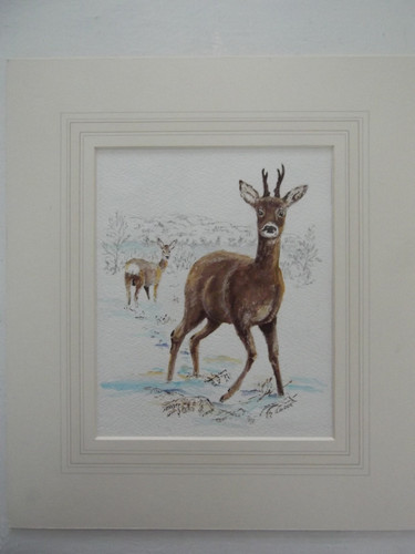 Original roe deer painting - roe,