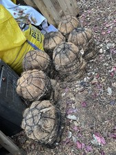42 x HANGING BASKETS. Wire frame with a coconut fiber (coir) liner.