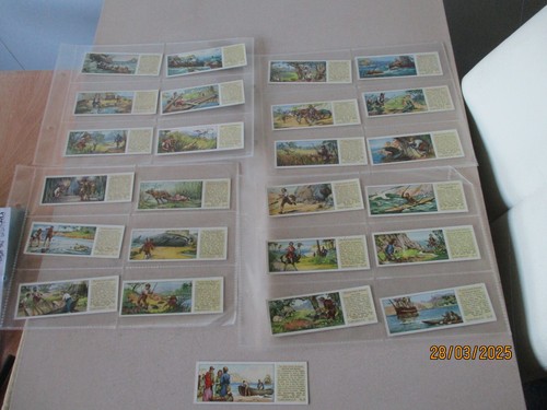 Typhoo swiss family - swiss, robinson