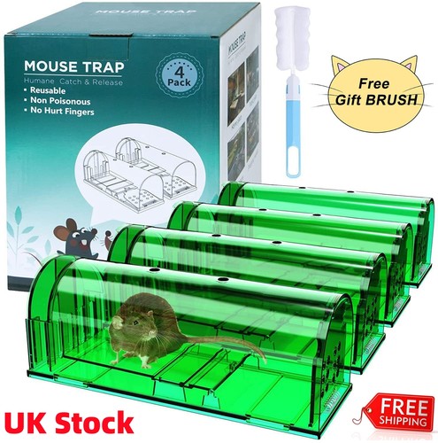 4pack humane mouse traps - 2/4pack,