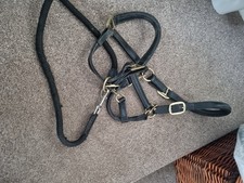 Kieffer Leather Headcollar &