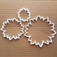 Flower Sun Garden Plant Shape