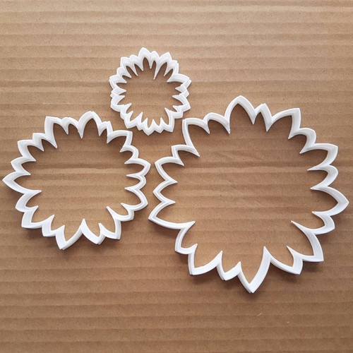 Flower sun garden plant - plant, shape