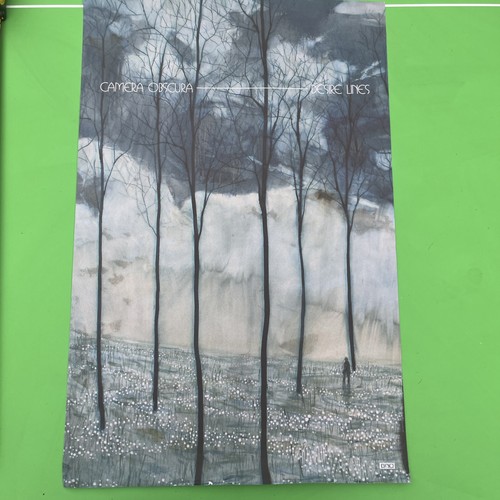 Camera obscura desire lines - desire,