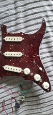 Fishman Fluence Loaded