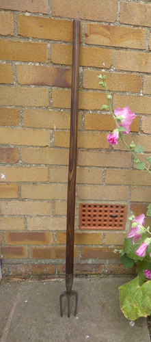 Vintage bunny garden - vintage,