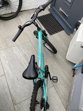 Apollo Zest junior  mountain