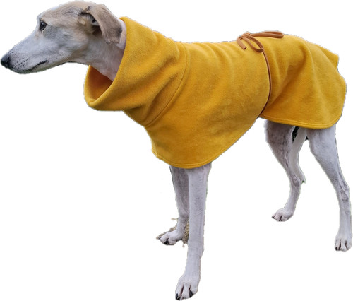 Greyhound lurcher whippet - greyhound,,