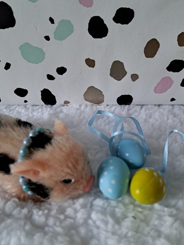 Micro piglet silicone - piglet,