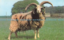 R731969 Cheltenham Glos Jacob