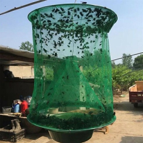 The fly ranch trap - trap, outdoor