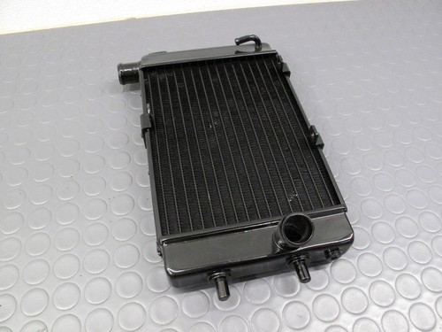 Aprilia rsv 1000 mille 03 - 1000, 00-03