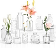 Glass Bud Vases Set of 10/20