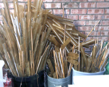 Huge collection of spiral rabbit tree guards and bamboo canes