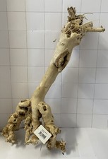 A17 LARGE Aquarium Wood Root