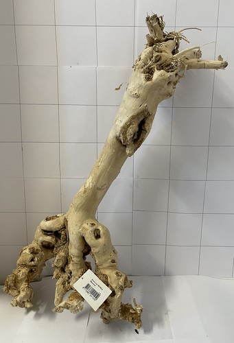 A17 large aquarium - a17, root