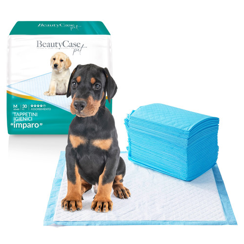 Beauty case puppy training - beauty,