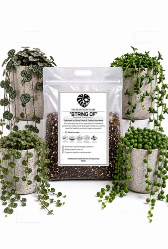 25l bioactive string pearls - bioactive,