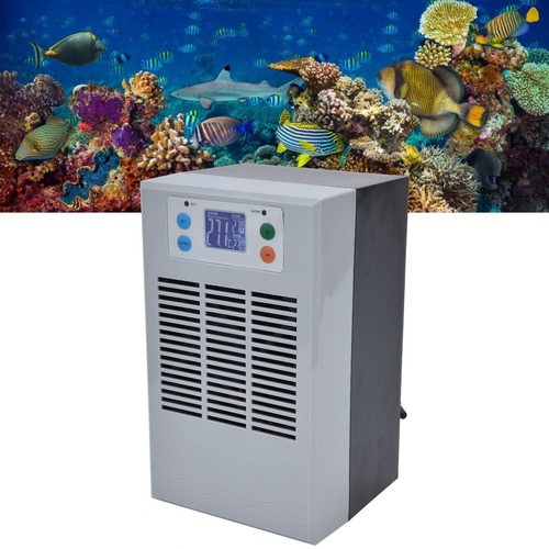 Electronic water chiller - water,