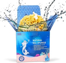 Jordan Benedict Natural Sea