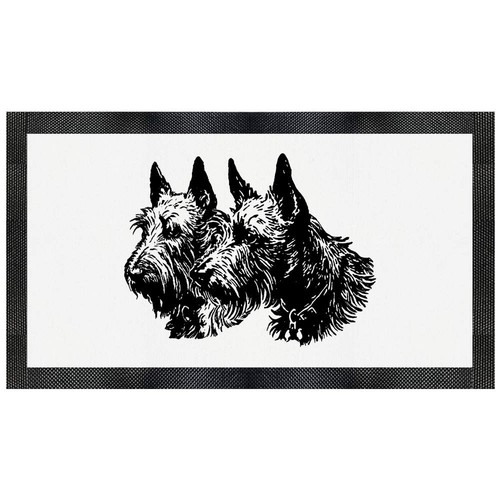 Scottish terrier couple pet - 'scottish,