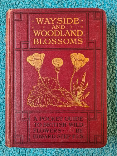 Wayside and woodland - woodland, blossoms