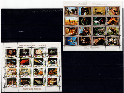 Ajman collection various - ajman,