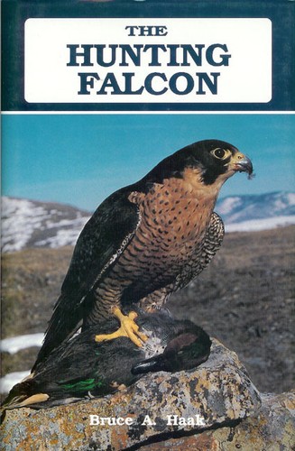 Haak falconry and hawking - haak,