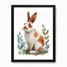 English Spot Rabbit Kids