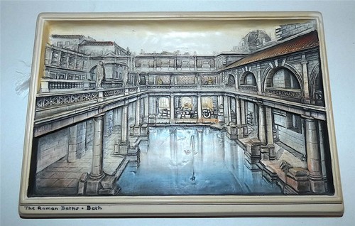 Bossons ivorex plaque the - ivorex,