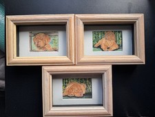 Set of 3 handpainted watercolours of Dogue de Bordeauxs signed Suzanne