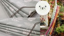 Vanessa arbuthnott fern - vanessa, &