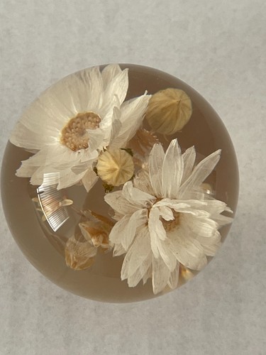 Vintage daisies paperweight - vintage,