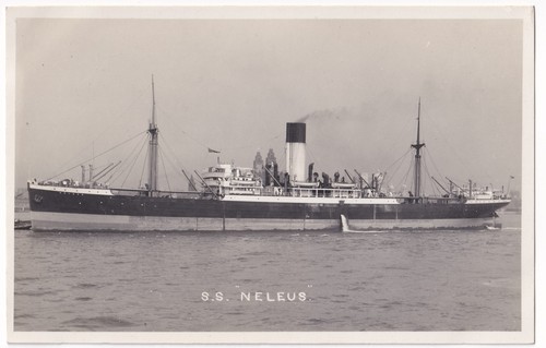Neleus blue funnel - neleus,