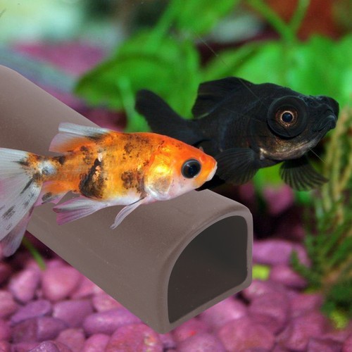 Aquarium accessories tropical - aquarium,