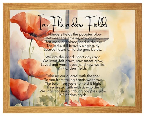 Flanders fields where - in,