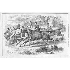 JOHN STURGESS A Double Chase