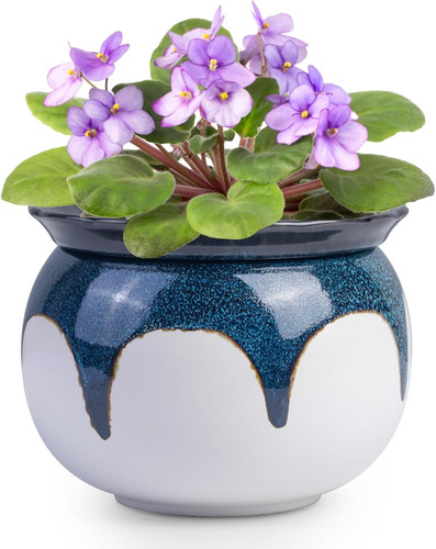African violet pots inch - 6,