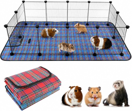 Large guinea pig - sq,