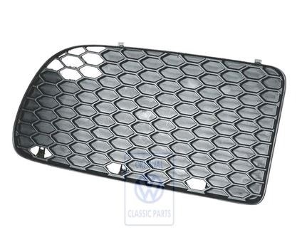 R32 front bumper grille - r32,