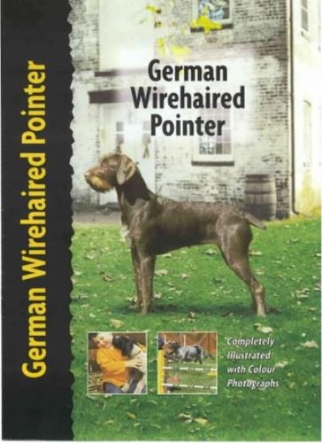 German wirehaired pointer pet - german,