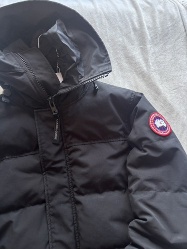 Canada goose black - canada,