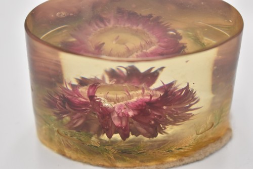 Vintage lucite dried - lucite,