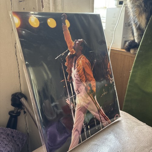 Freddie mercury portrait - freddie,