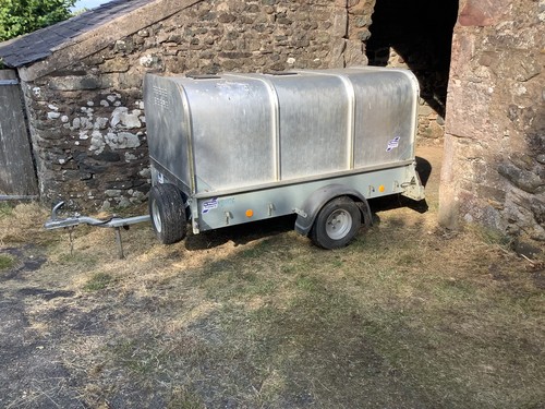 Ivor williams p7e - p7e, sheep