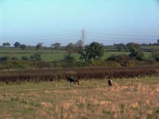 Photo 6x4 Fields east of