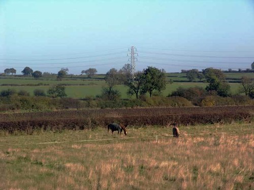 Photo 6x4 fields - photo, east
