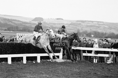 Woodland adventure 1967 gold - woodland,